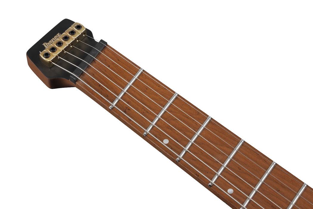 Ibanez MGFM10OBL - Manuel Gardner Fernandes Signature 6-String Electric Guitar w/Bag