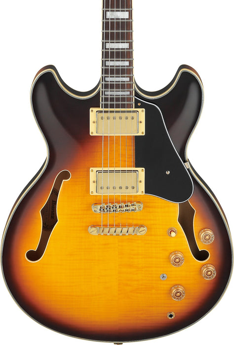 Ibanez JSM10EMTTB - John Scofield Signature 6-String Electric Guitar - Two-tone Burst