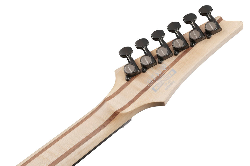 Ibanez RGR6A250 - RG 6-String Electric Guitar