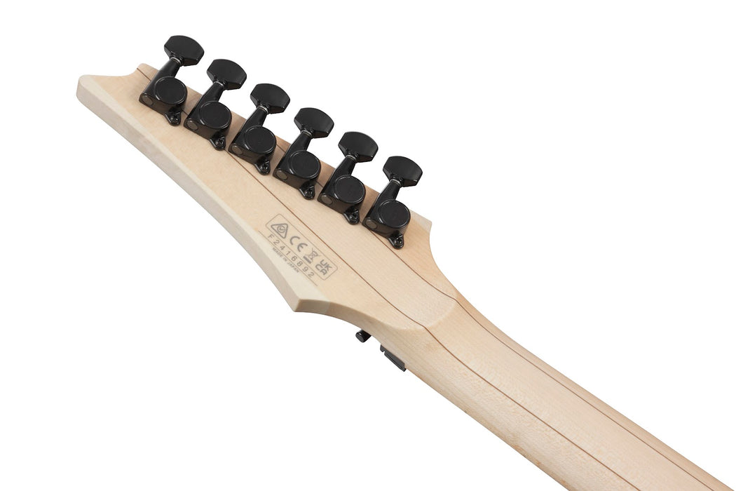 Ibanez RG550 Genesis Collection - Black