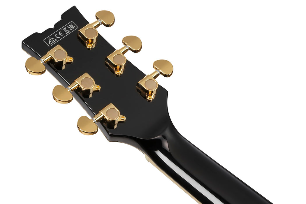 Ibanez AM73GBK - AM Artcore 6-String Electric Guitar  - Black