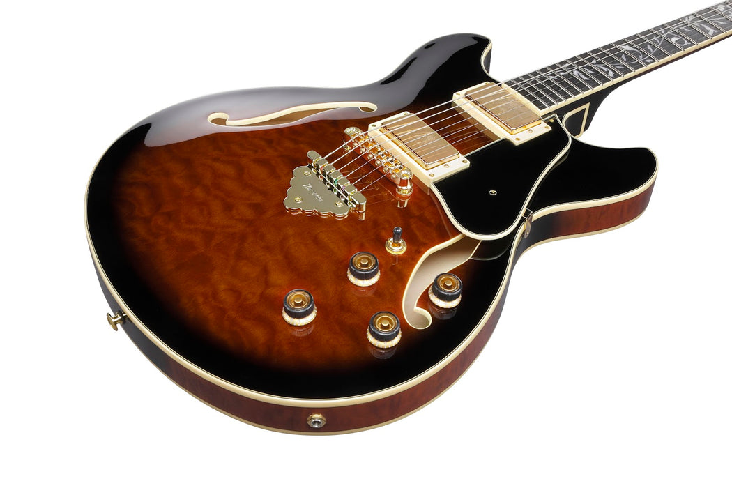 Ibanez Artcore Expressionist Series Hollowbody Guitar - Dark Brown Sunburst