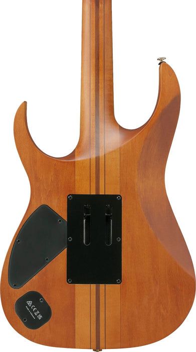Ibanez RGT1220PBABS RG Premium - Antique Brown Stained