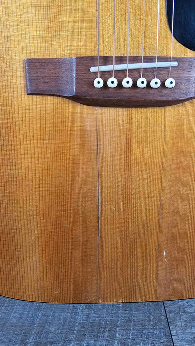 Norman B20 80's w/Gigbag - Used