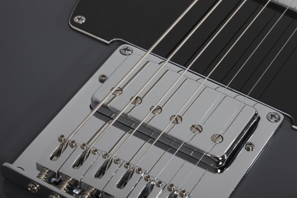 Schecter Pt Ex Dorian Grey