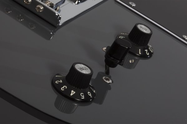 Schecter Pt Ex Dorian Grey