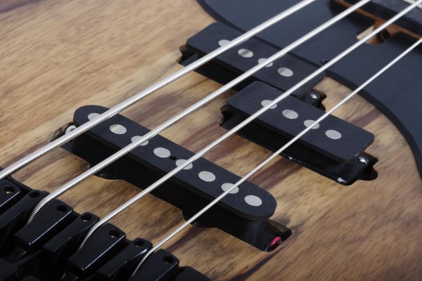 Schecter Model-T 4 Exotic Black Limba