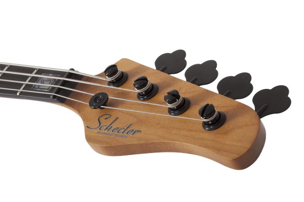 Schecter Model-T 4 Exotic Black Limba
