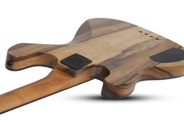 Schecter Model-T 4 Exotic Black Limba