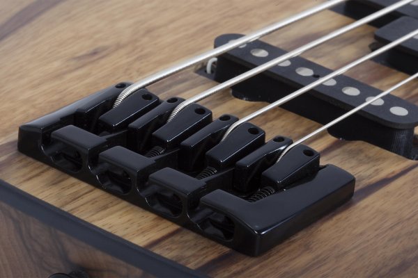 Schecter Model-T 4 Exotic Black Limba