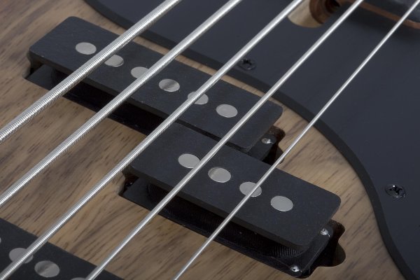 Schecter Model-T 5 Exotic Black Limba