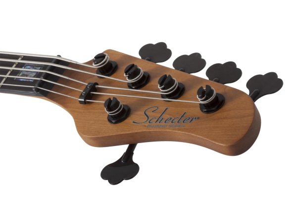 Schecter Model-T 5 Exotic Black Limba