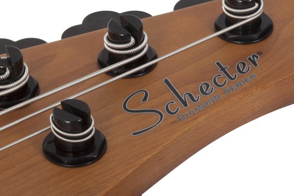 Schecter Model-T 5 Exotic Black Limba