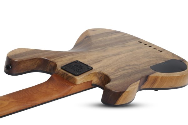 Schecter Model-T 5 Exotic Black Limba