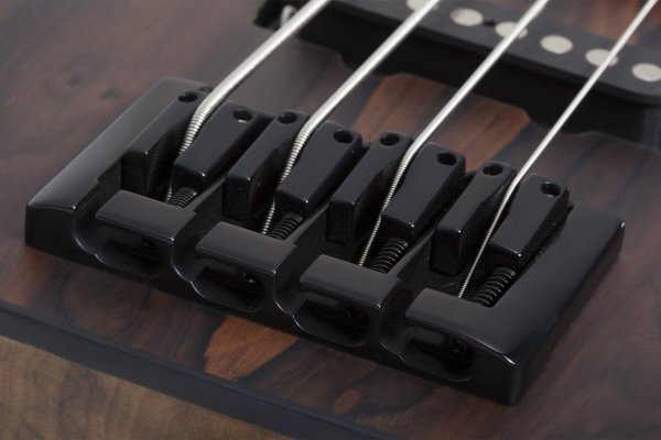 Schecter Model-T 4 Exotic Ziricote