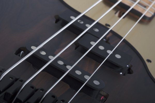 Schecter Model-T 4 Exotic Ziricote