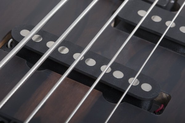 Schecter Model-T 5 Exotic Ziricote