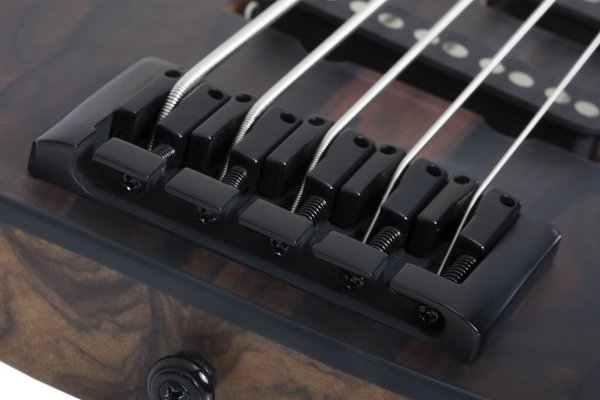 Schecter Model-T 5 Exotic Ziricote