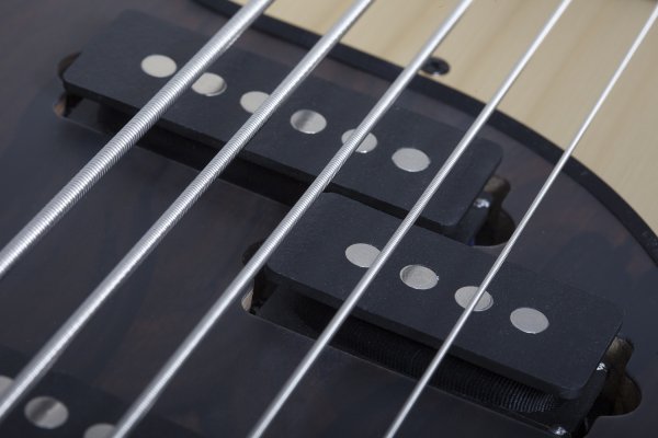 Schecter Model-T 5 Exotic Ziricote