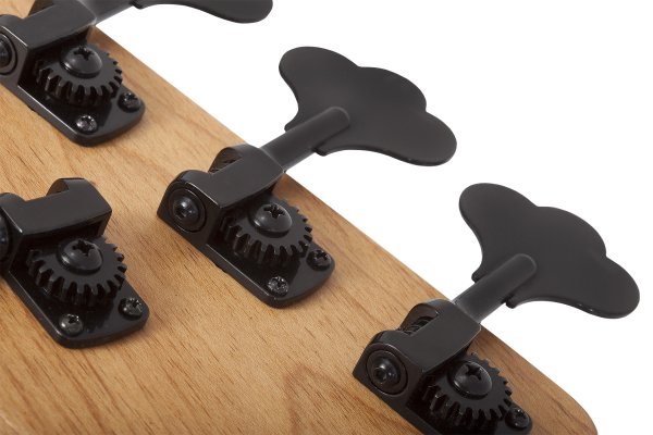 Schecter Model-T 5 Exotic Ziricote