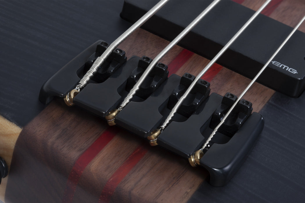 Schecter Charles Berthoud CB-4 See Thru Black Satin