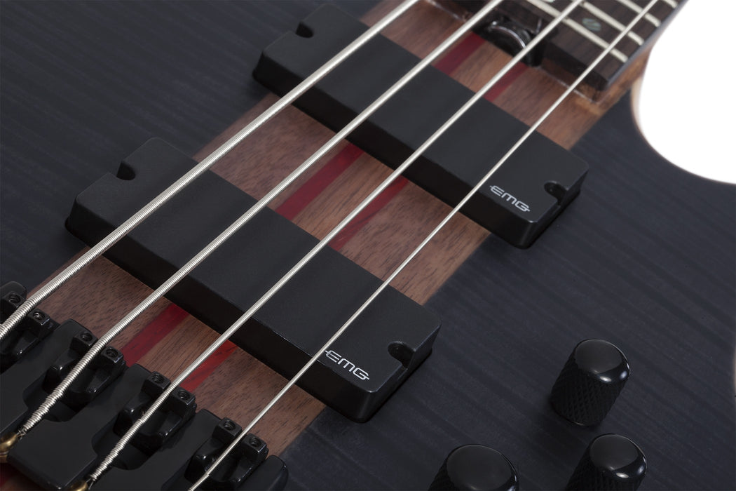 Schecter Charles Berthoud CB-4 See Thru Black Satin