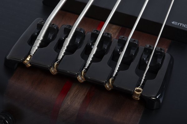 Schecter Charles Berthoud CB-5, SeeThru Black Satin