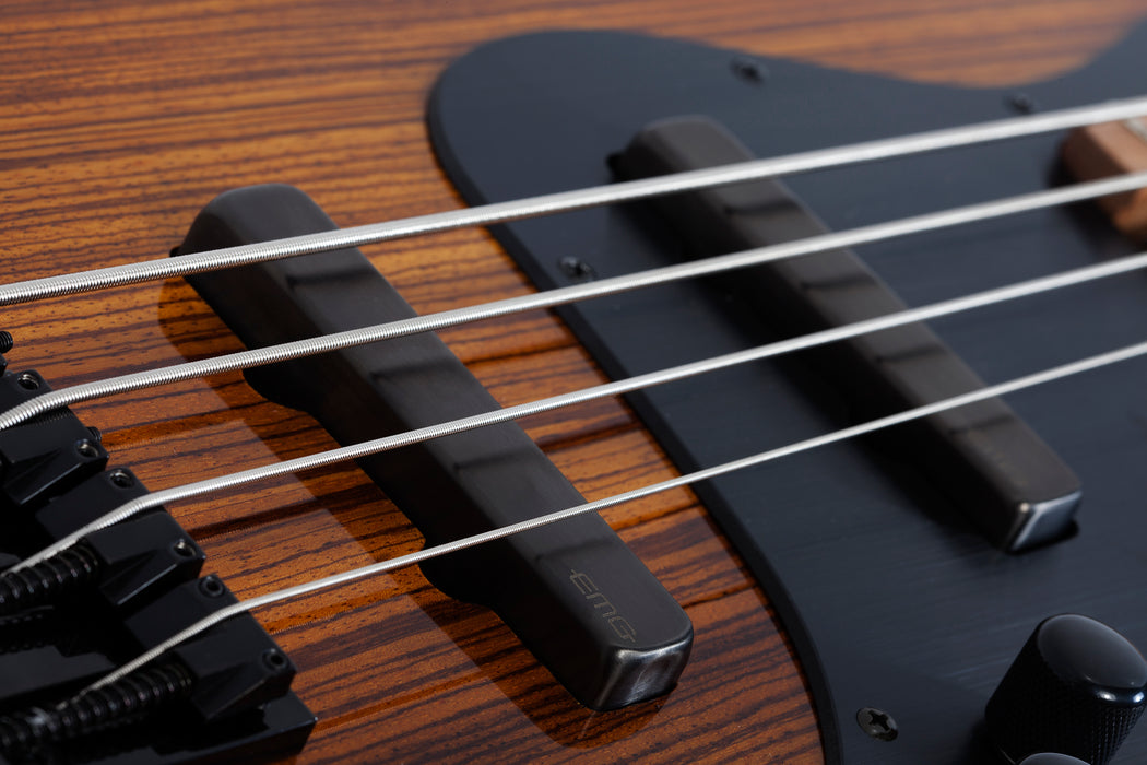 Schecter J-4 Exotic Exotic