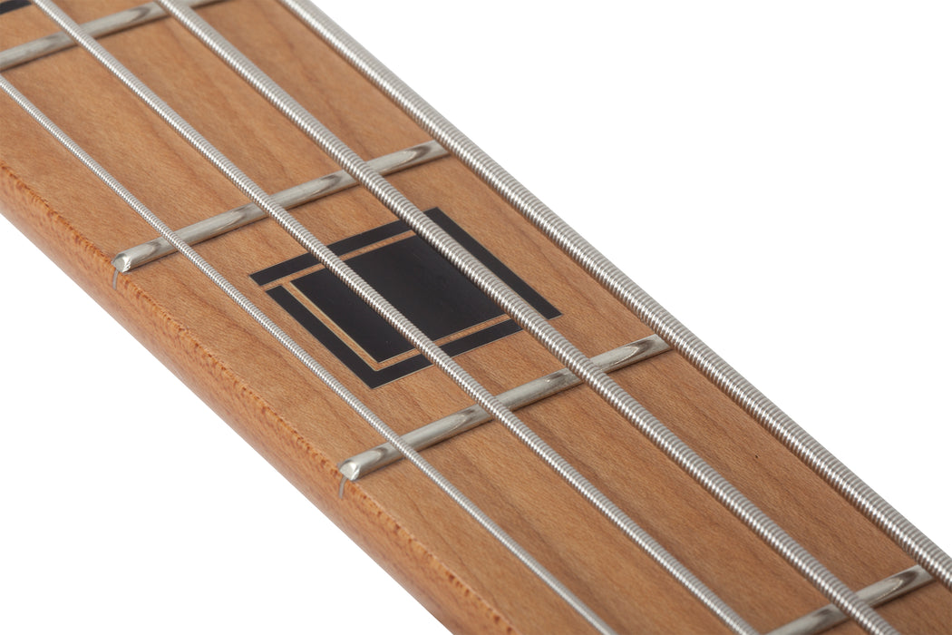 Schecter J-4 Exotic Exotic