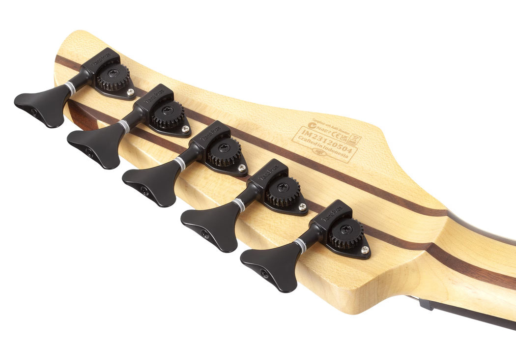 Schecter Reaper-5 5-String Electric Bass, Natural Satin