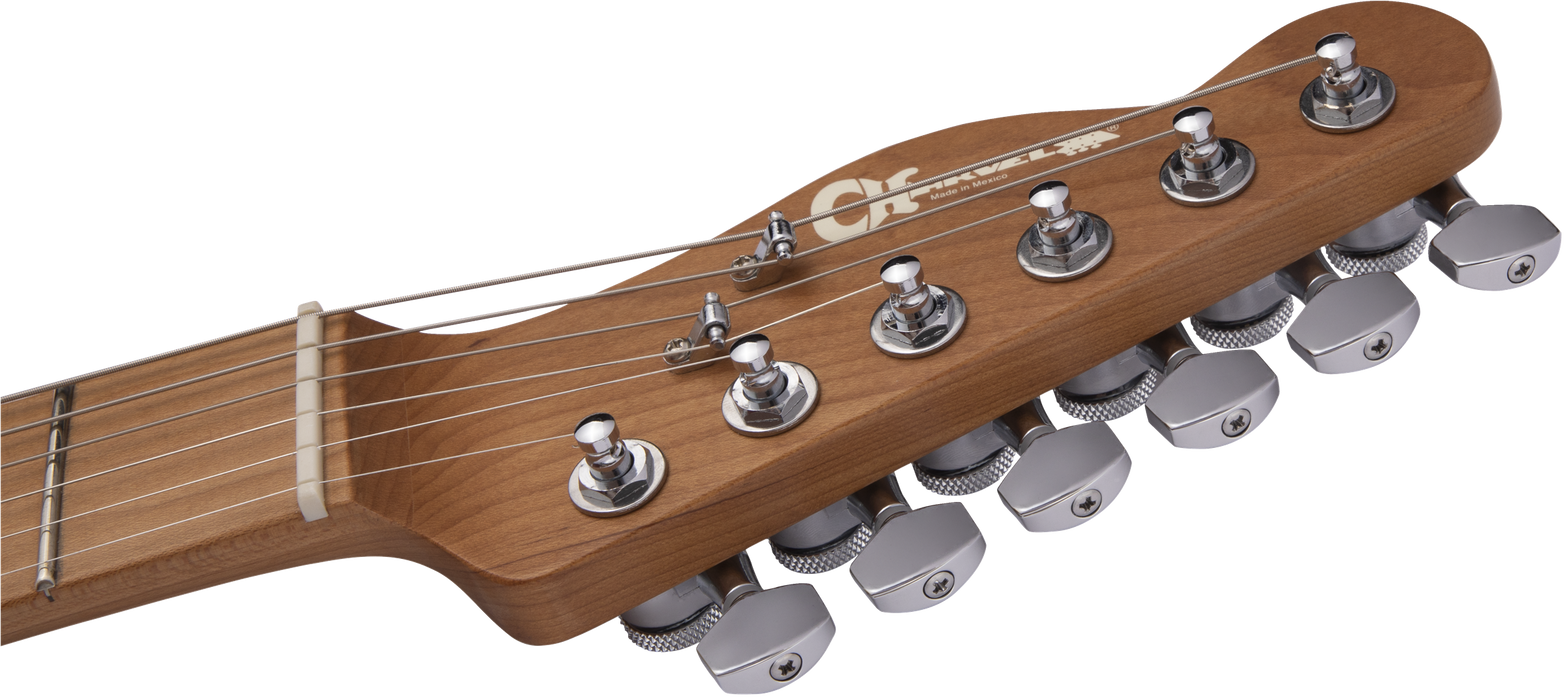 Charvel Pro-Mod So-Cal Style 2 24 HH 2PT CM Ash, Caramelized Maple Fingerboard, Natural Ash