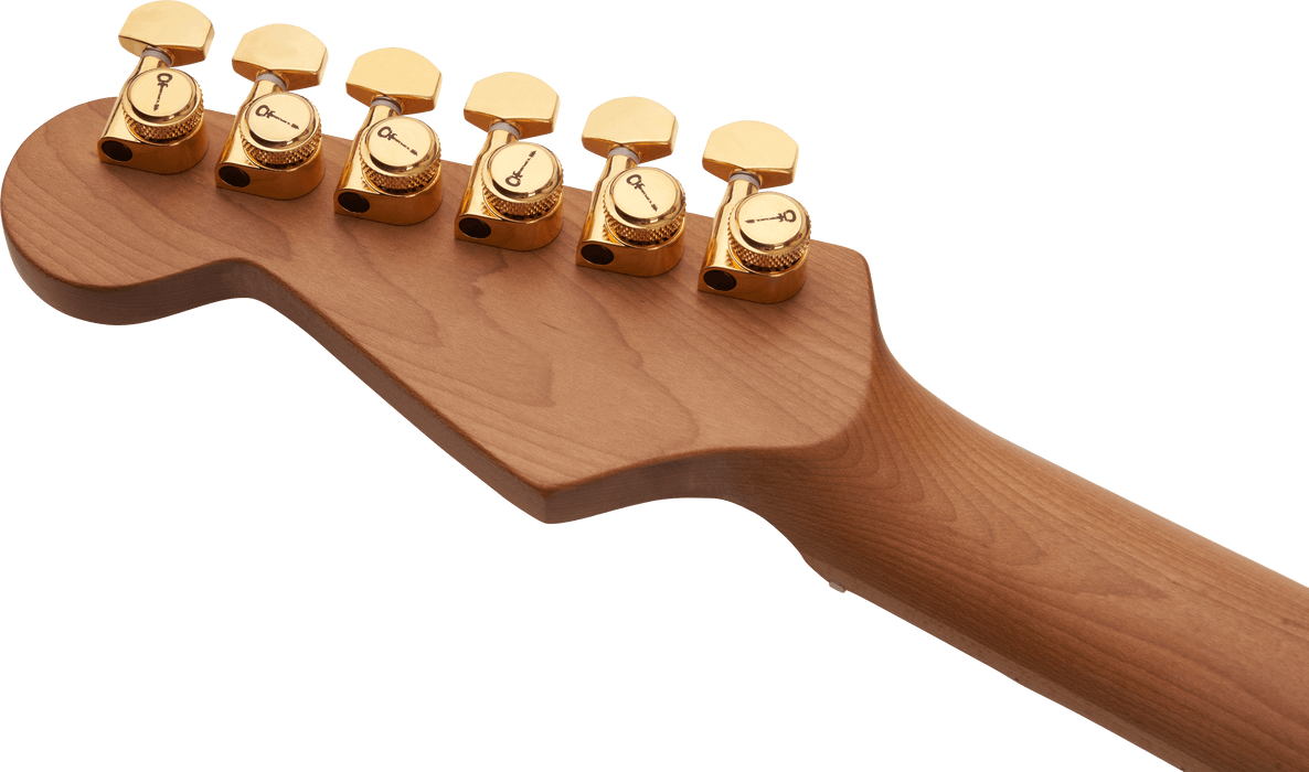 Charvel Pro-Mod DK24 HSH 2PT CM Mahogany, Caramelized Maple Fingerboard, Natural