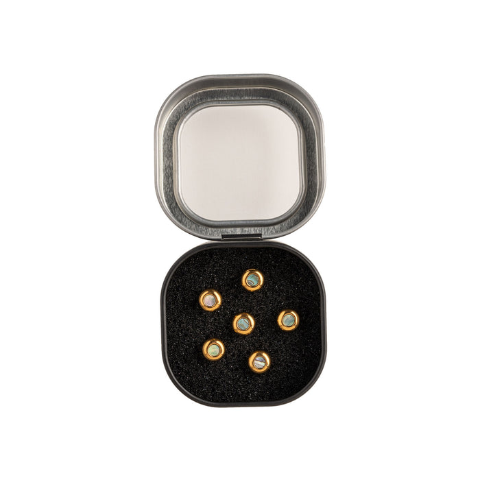 Martin Pin Set Liquid Metal, Gold with Paua Tin