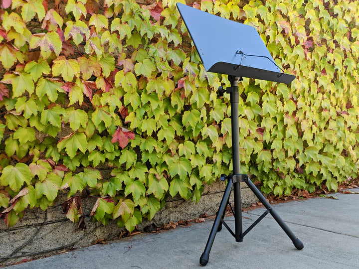Strukture Music Stand Conductor Style - Black