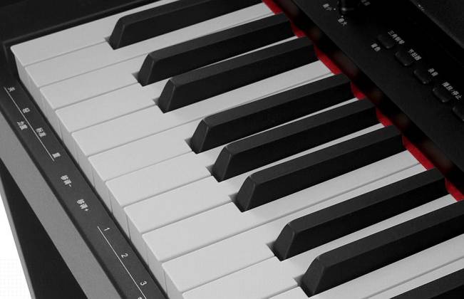 NuX WK-310 Digital Piano-Black