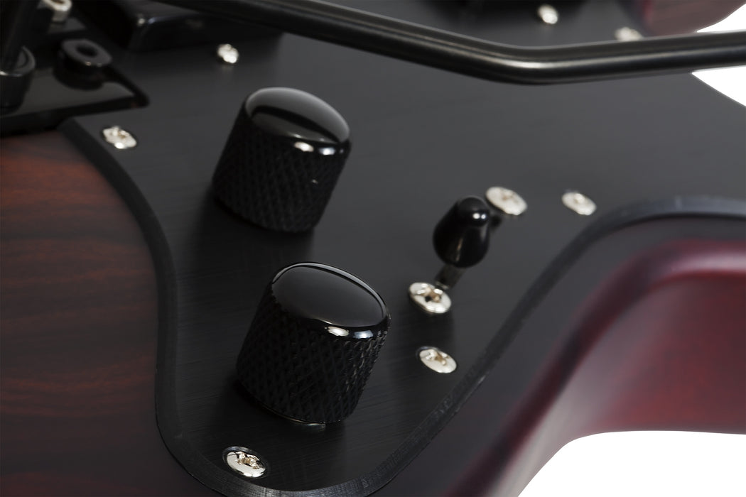 Schecter Sun Valley SS Exotic Ziricote