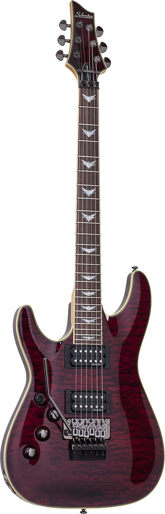 36060_schecter_2010shc_Schecte