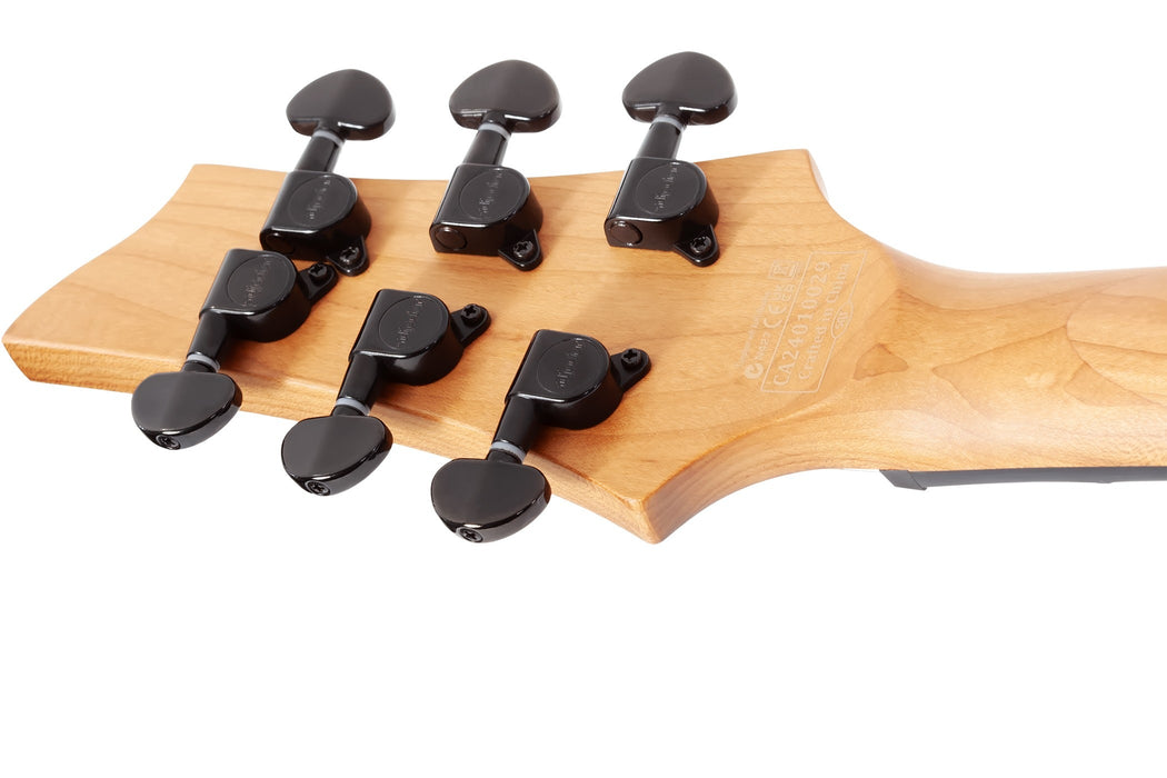 Schecter C-1 Standard, Black Fade Burst Burl