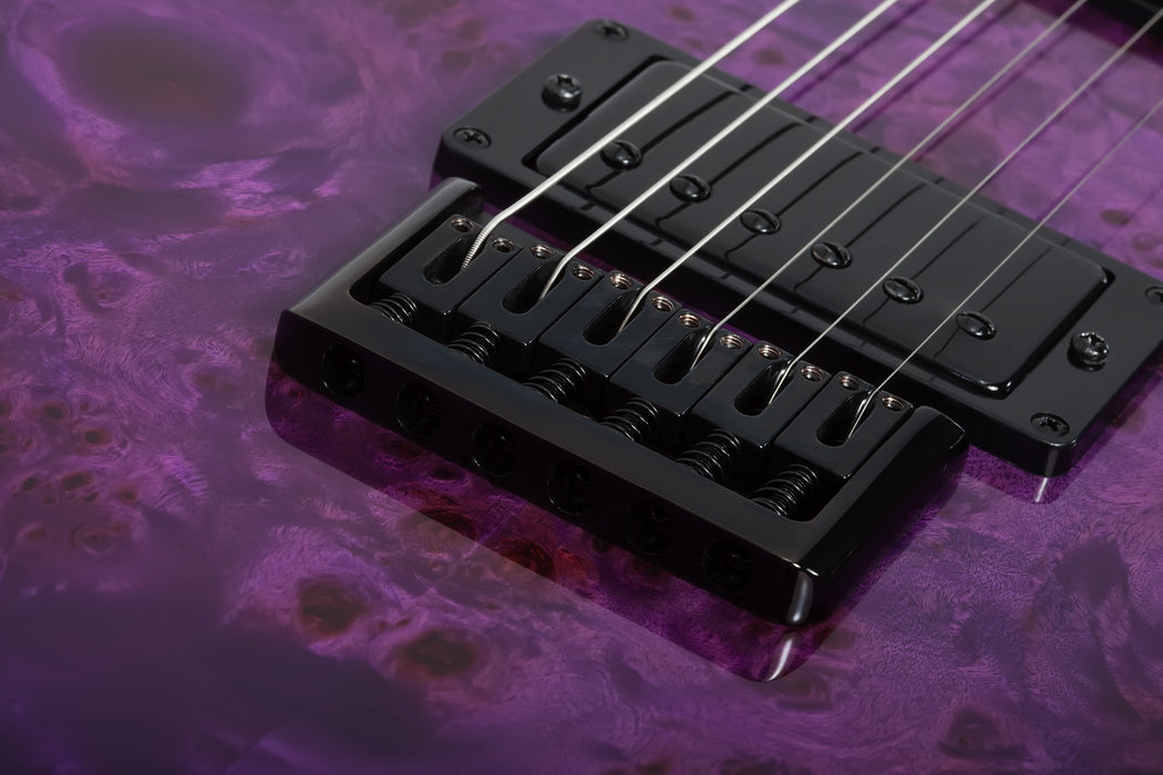 Schecter Pt Standard, Purple Burst Burl