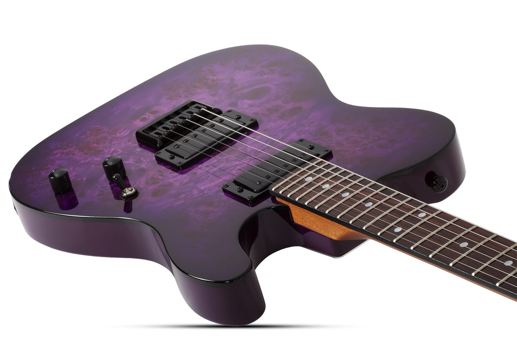 Schecter Pt Standard, Purple Burst Burl