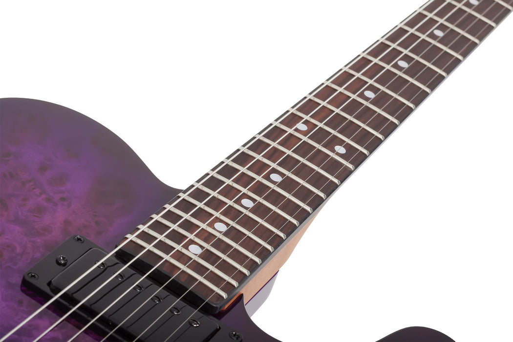 Schecter Pt Standard, Purple Burst Burl