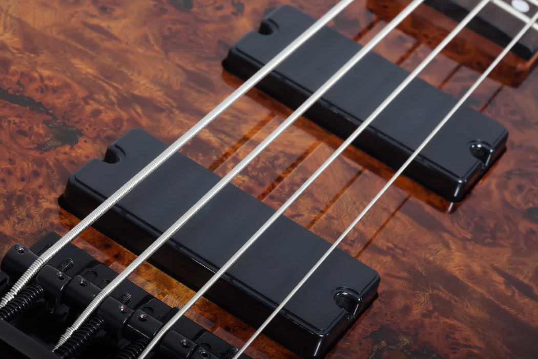 Schecter C-4 Standard, Tobacco Burl