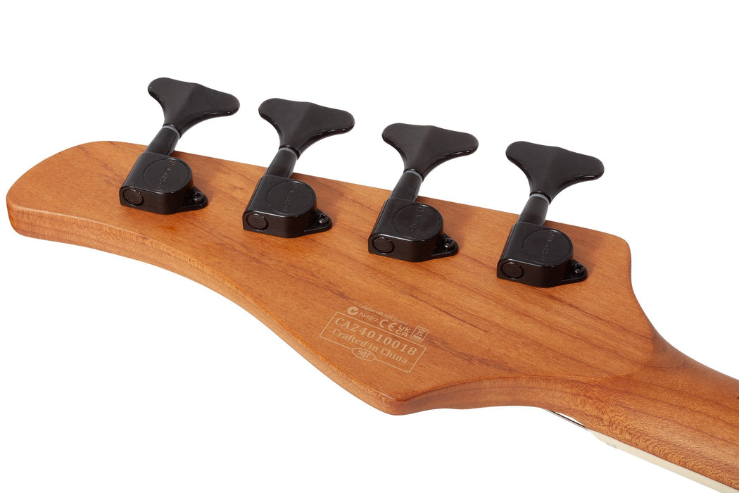 Schecter C-4 Standard, Charcoal Satin