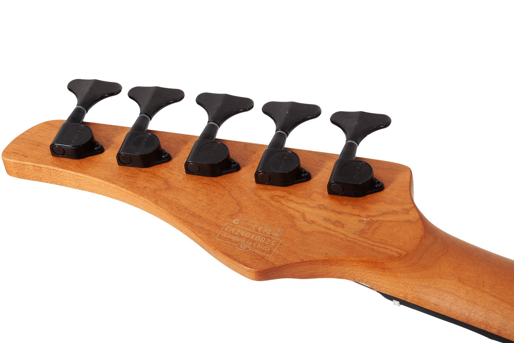 Schecter C-5 Standard, Tobacco Burl