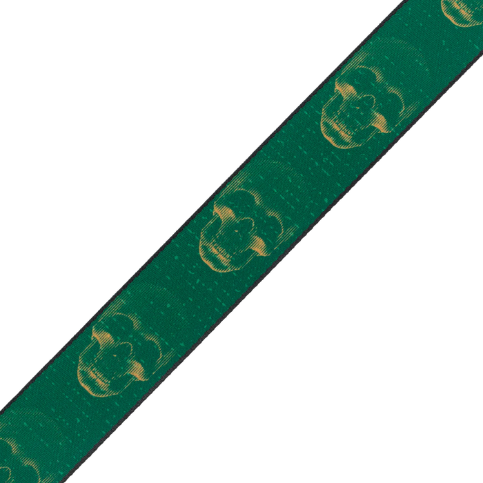 Levy's Skull Series Polyester Guitar Strap, Green & Mustard Skull