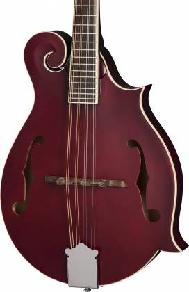 Epiphone F-5 Studio W/Gigbag Wine Red Satin