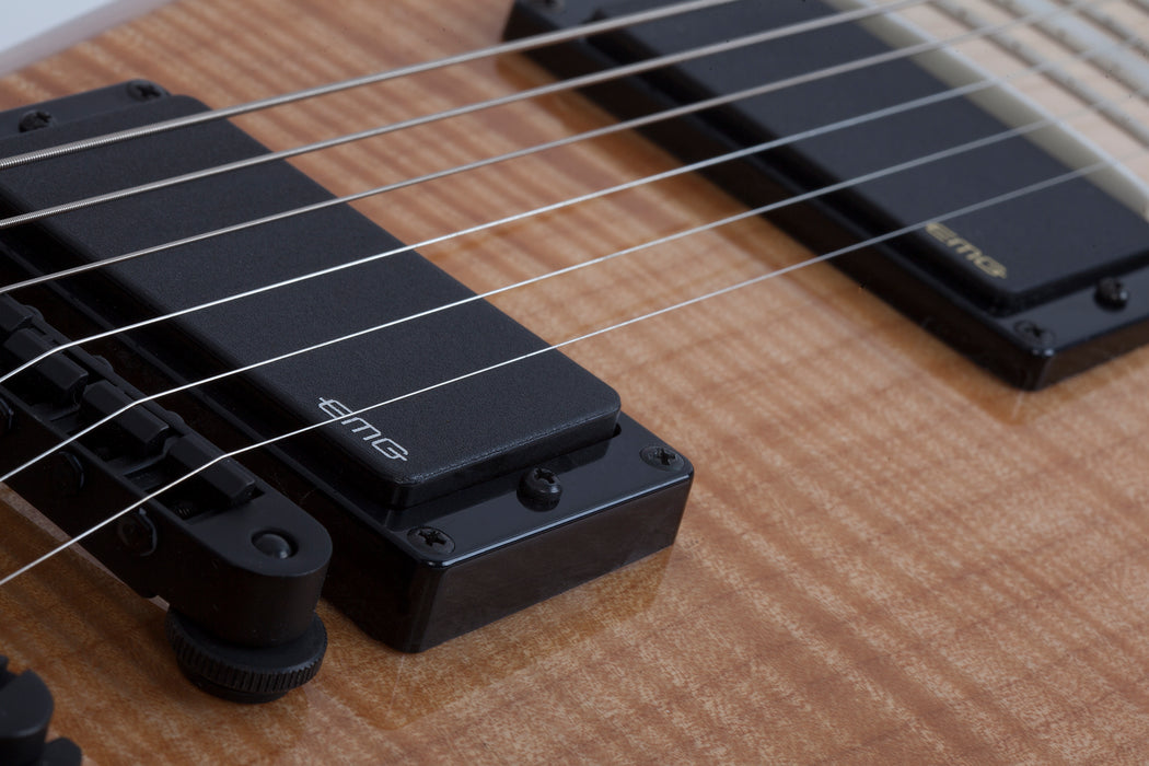 Wylde Audio Blood Eagle Rawtop