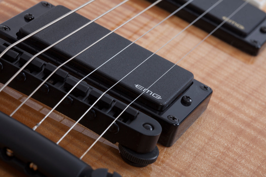 Wylde Audio Blood Eagle Rawtop