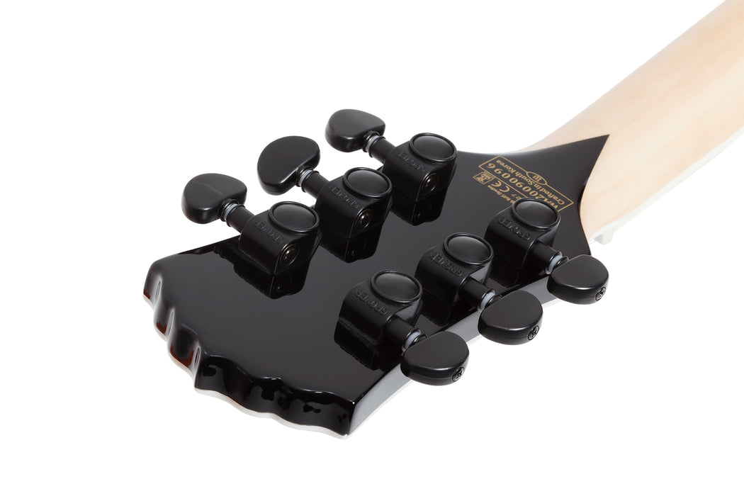 Wylde Audio Odin Grail Buzzsaw Charcoal Burst