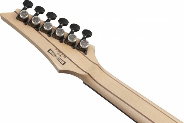 Ibanez RGA Series 6 String W/Gigbag - Deep Twilight Burst Low Gloss